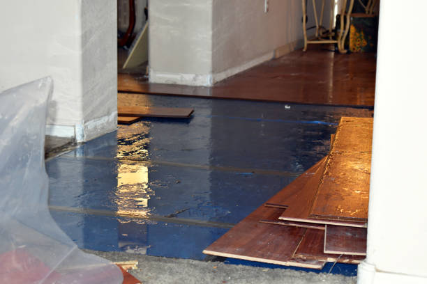 Professional Sewage Cleanup technician working in Liberty, ME
